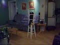 mon-chat-et-le-lave-linge.html