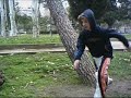flick traceurs 2