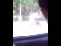 videos de monyet atw bule