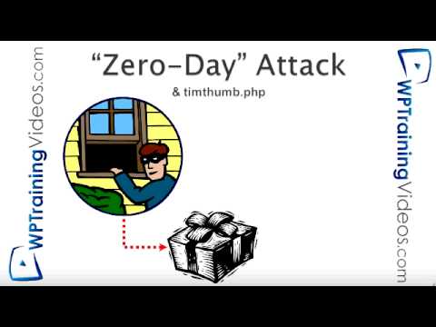 how to discover zero day exploits