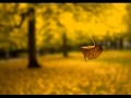 آخرین برگ پاییزی - دکلمه