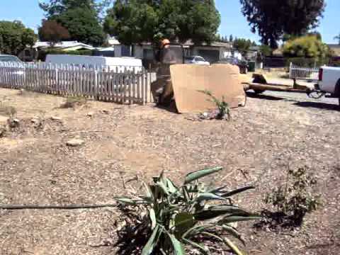 how to replant after stump grinding