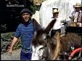 os panteras   la vai a carroça