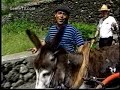 os panteras   la vai a carroça