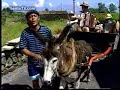 os panteras   la vai a carroça