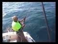 Yellowfin Tuna Trip - Browns Mountain-Sydney Yellowfin Tuna Trip - Browns Mountain-Sydney