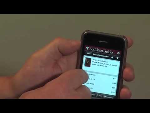 YouTube Preview Image