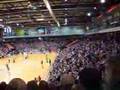 Flensburg-Handewitt Chants