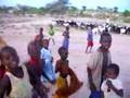 ATTACK of the goats in turkana