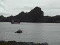 Soay Sheep on Saint Kilda
