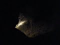 South Africa... Leopards night 4