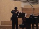 Liviu Prunaru plays Debussy: Beau Soir