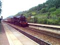Bowring Park Centenarian Special Train