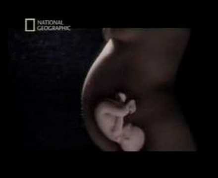 in the womb