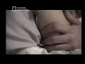 in the womb