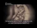 in the womb in the womb