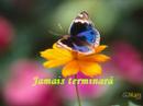 tradu�ao