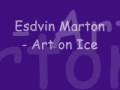 Art on Ice