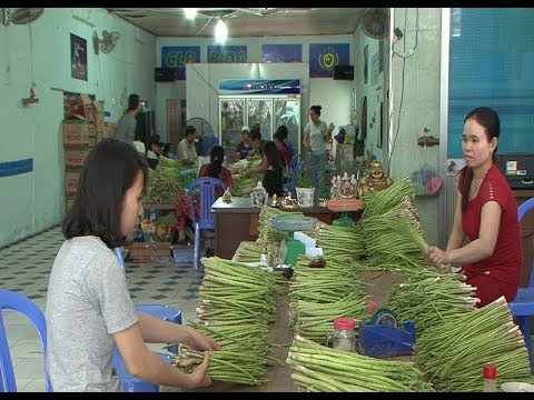 Ninh Thuận tận dụng cơ hội hỗ trợ phát triển tìm đầu ra cho sản phẩm măng tây