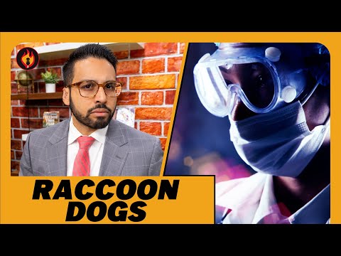 Raccoon Dogs: Exposing Insane Anti-Lab Leak Propaganda – Undercurrents