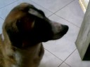 Food Please