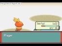pokemon torchic only run 6 pokemon torchic only run 6