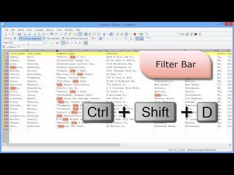 EmEditor v14.6 new features: Enhanced CSV features, Filter Bar, Sort by Multiple Columns