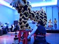 Lion Dance @ Wedding With Surprise Ending!!