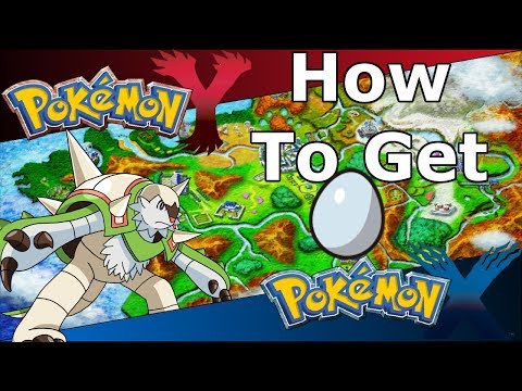 how to get more lucky eggs x and y