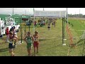 2007 OHSAA Div 3 Boys Cross Country State Championships