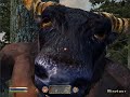 oblivion minotaur died standing up glitch oblivion minotaur died standing up glitch