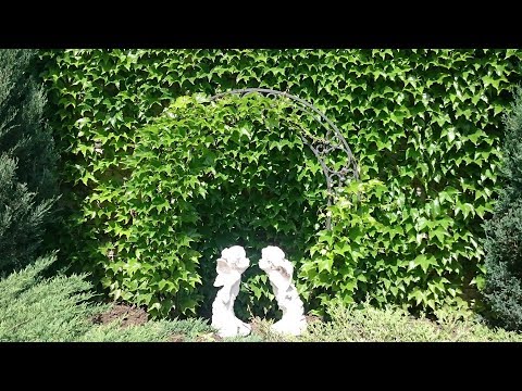 https://www.youtube.com/watch?v=pCUMpl3QFfY