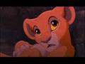 il re leone & bambi