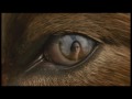 The Twilight Saga: New Moon Official TV Spot