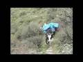 videos de Dzos Train