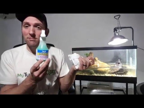 video-linktoworks-How To Safely Clean Your Tank or Turtle Tank With Safe...