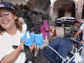 Protecci�n de Animales