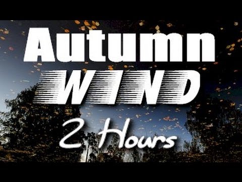 Wind - The relaxing sounds of wind through the leaves on an autumn day are featured in this unique nature video. Fall leaves are in full color. Use this video for s...