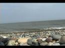 At the beach (filmed with new camera)
