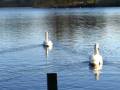 University of Stirling: On-campus Loch