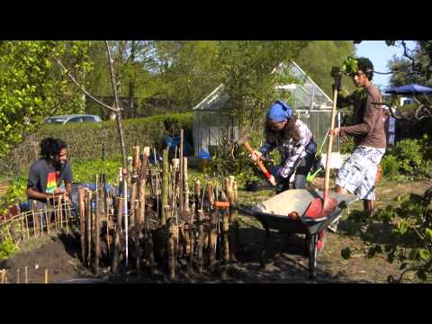 Gemeinschafts(schreber)garten Kiel Gaarden Unser Gemeinschaftsgarten