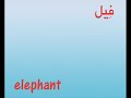 تعلم خمس مفردات انجليزية كل يوم