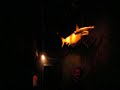 oklahoma aquarium
