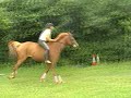 Jumping 1.40m bareback!! Jumping 1.40m bareback!!