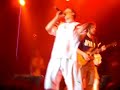 Emir Kusturica and TNSO - Pitbull terrier Emir Kusturica and TNSO - Pitbull terrier