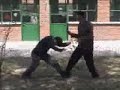 Xin Yi Liu He Quan