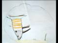Der Fisch im Glas