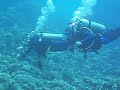 Nemo Safaga 05-2008 onder water1 074.avi Nemo Safaga 05-2008 onder water1 074.avi