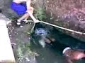 jaguar-domination-video.html