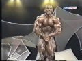 Best-of-Flex-Wheeler